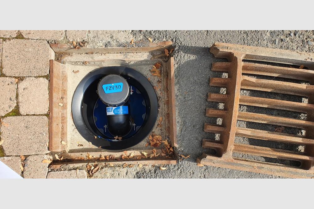 Wenn die Ratten kommen