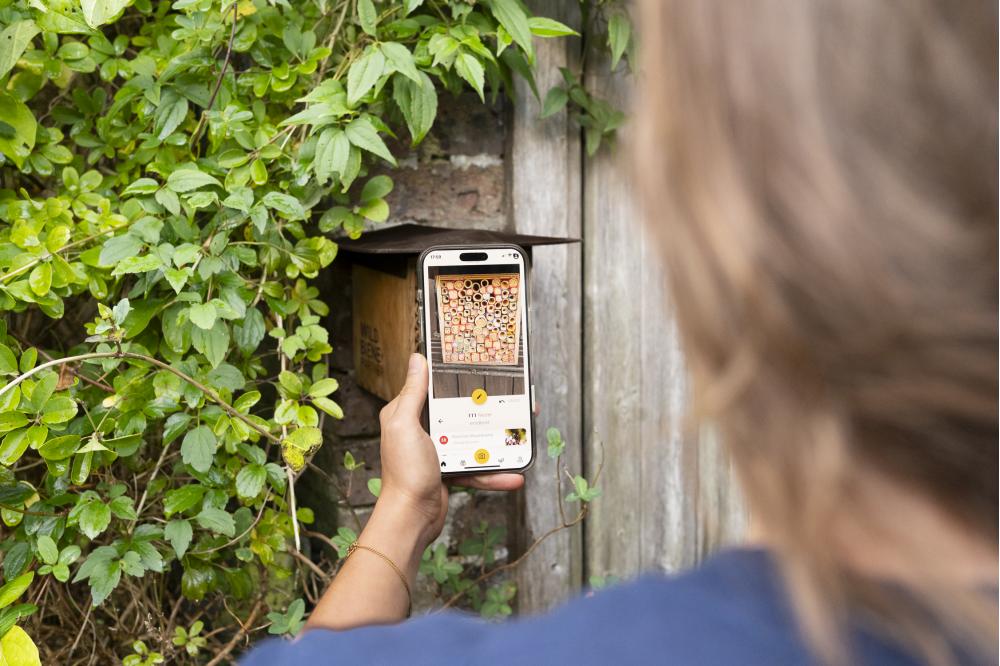 Kommt der Fr&uuml;hling immer fr&uuml;her?