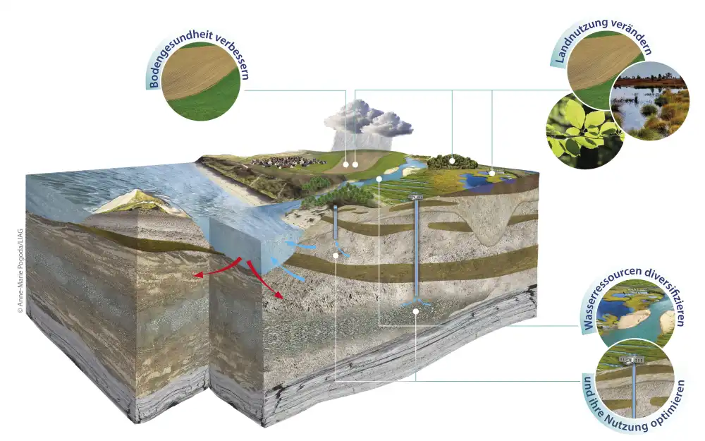 Forschungsprojekt Blue Transition zeigt Wege zu klimaresilientem Wasser- und Bodenmanagement auf